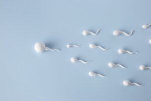 high-angle-spermatozoa-with-blue-background (Klein)